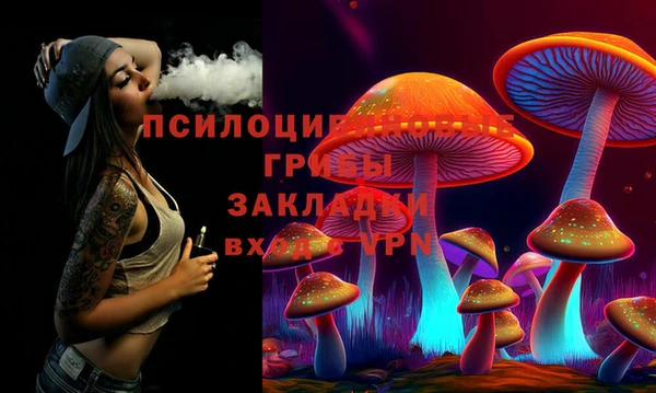 соль ск Арсеньев