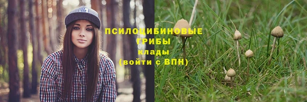 соль курить ск Всеволожск