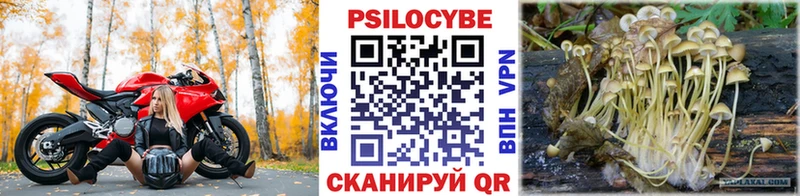 наркошоп  Кувшиново  Псилоцибиновые грибы MAGIC MUSHROOMS 